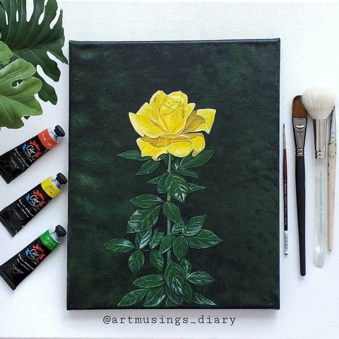 Holiday Bundle 🎁 - Everything you need to get started (or restock)