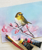 Holiday Bundle 🎁 - Everything you need to get started (or restock)