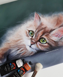 Holiday Bundle 🎁 - Everything you need to get started (or restock)